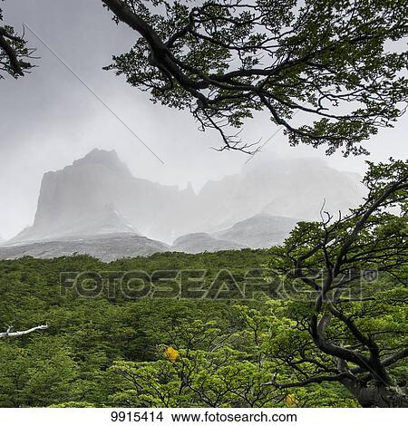 French Valley, Torres del Paine National Park; Torres del Paine, Magallanes and Antartica Chilena Region, Chile View Large Photo Image Picture - French Valley, Torres del Paine National Park; Torres del Paine, Magallanes and Antartica Chilena Region, Chile. Fotosearch