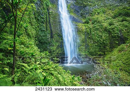 Hanakapiai Falls on the Kalalau Trail, Napali Coast; Kauai, Hawaii, United States of America View Large Photo Image Stock Image - Hanakapiai Falls on the Kalalau Trail, Napali Coast; Kauai, Hawaii, United States of America. Fotosearch