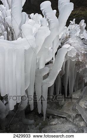 Ice forms near a waterfall; Olney, Oregon, United States of America View Large Photo Image Stock Image - Ice forms near a waterfall; Olney, Oregon, United States of America. Fotosearch