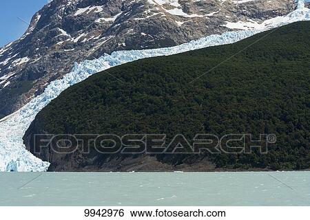 Lake Argentino and Moreno Glacier, Los Glaciares National Park; Santa Cruz province, Argentina View Large Photo Image Stock Photograph - Lake Argentino and Moreno Glacier, Los Glaciares National Park; Santa Cruz province, Argentina. Fotosearch
