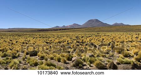 Licancabur volcano; San Pedro de Atacama, Antofagasta Region, Chile View Large Photo Image Stock Image - Licancabur volcano; San Pedro de Atacama, Antofagasta Region, Chile. Fotosearch