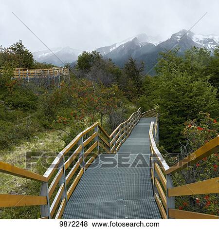 Los Glaciares National Park; Santa Cruz Province, Argentina View Large Photo Image Stock Photo - Los Glaciares National Park; Santa Cruz Province, Argentina. Fotosearch