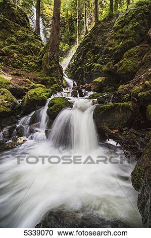 Lupin Falls, Strathcona Provincial Park; British Columbia, Canada View Large Photo Image Stock Image - Lupin Falls, Strathcona Provincial Park; British Columbia, Canada. Fotosearch