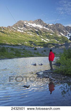 Man looking out at melt water pond glacier moraine vegetation coming back after glacier recedes, Shoup Bay State Marine Park, Prince William Sound; Valdez, Alaska, United States of America View Large Photo Image Stock Image - Man looking out at melt water pond glacier moraine vegetation coming back after glacier recedes, Shoup Bay State Marine Park, Prince William Sound; Valdez, Alaska, United States of America. Fotosearch