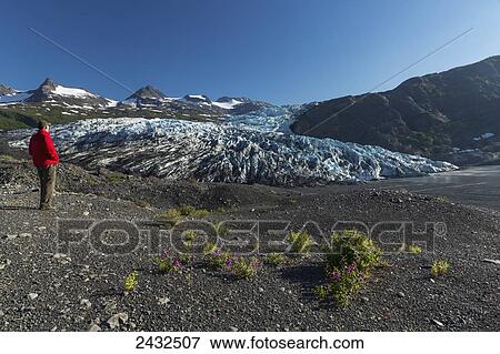 Stock Photo - Man on morain looking at Shoup Glacier in front of the Chugach mountains, Shoup Bay State Marine Park, Prince William Sound; Valdez, Alaska, United States of America. Fotosearch