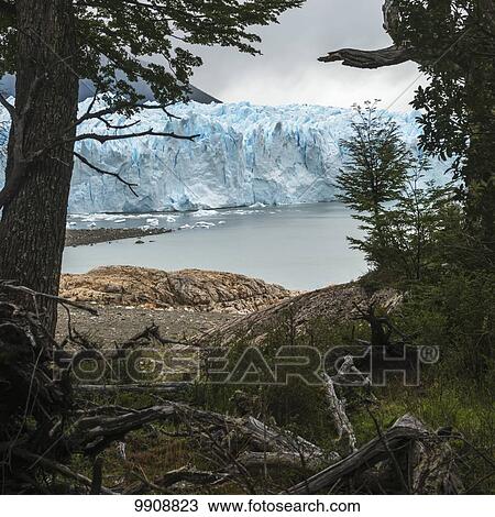 Moreno Glacier and Lake Argentino, Los Glaciares National Park; Santa Cruz province, Argentina View Large Photo Image Stock Image - Moreno Glacier and Lake Argentino, Los Glaciares National Park; Santa Cruz province, Argentina. Fotosearch