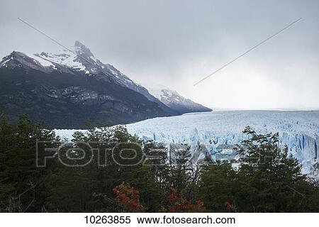 Moreno Glacier and Lake Argentino, Los Glaciares National Park; Santa Cruz province, Argentina View Large Photo Image Stock Photography - Moreno Glacier and Lake Argentino, Los Glaciares National Park; Santa Cruz province, Argentina. Fotosearch