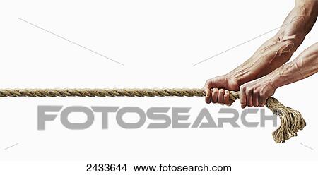Muscular arms pulling a rope View Large Photo Image Picture - Muscular arms pulling a rope. Fotosearch