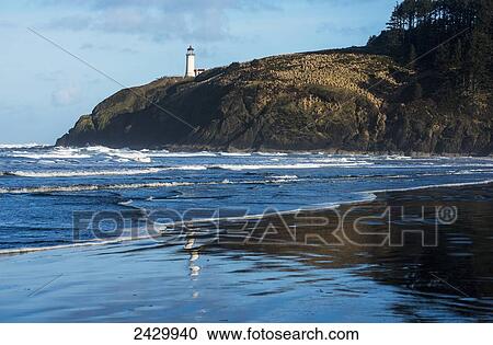 Stock Image - North Head Lighthouse is found at Cape Disappointment State Park; Ilwaco, Washington, United States of America. Fotosearch