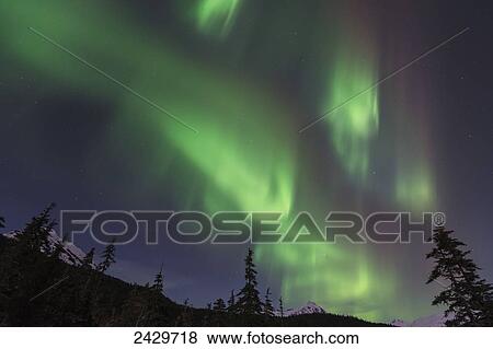 Stock Photo - Northern Lights, Tongass National Forest; Juneau, Alaska, United States of America. Fotosearch