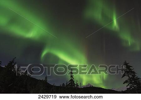 Northern Lights, Tongass National Forest; Juneau, Alaska, United States of America View Large Photo Image Stock Photo - Northern Lights, Tongass National Forest; Juneau, Alaska, United States of America. Fotosearch