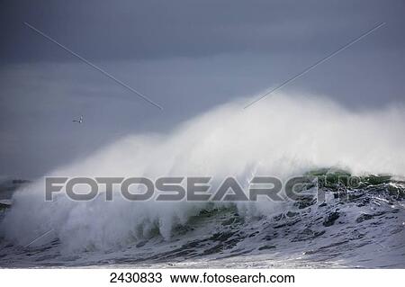 Ocean wave off the coast of Southern Iceland near the blue lagoon; Iceland View Large Photo Image Stock Image - Ocean wave off the coast of Southern Iceland near the blue lagoon; Iceland. Fotosearch