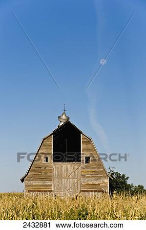 Old barn in a corn field with moon, Charles Mix County; South Dakota, United States of America View Large Photo Image Stock Image - Old barn in a corn field with moon, Charles Mix County; South Dakota, United States of America. Fotosearch