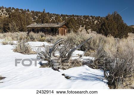 Old cowboy line shack in the South Warner Mountains, Modoc County; California, United States of America View Large Photo Image Picture - Old cowboy line shack in the South Warner Mountains, Modoc County; California, United States of America. Fotosearch
