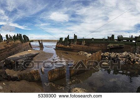 Stock Image - Old wooden pilings and walls along the coast; South Shields, Tyne and Wear, England. Fotosearch