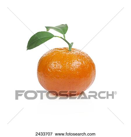 Orange with stem and leaves View Large Photo Image Stock Photo - Orange with stem and leaves. Fotosearch
