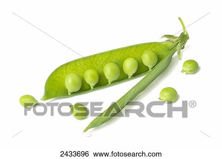 Stock Photograph - Peas in a pod. Fotosearch
