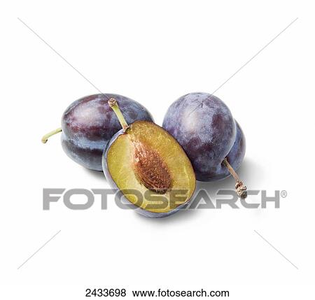 Stock Photo - Plums on a white background. Fotosearch