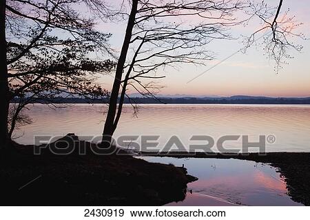 Stock Photo - Reflection of sky and trees along the shoreline at sunset; Starnberger See, Bavaria, Germany. Fotosearch