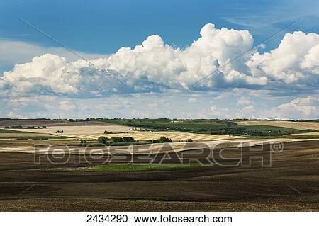 Stock Image - Rolling hills with fields of soil and stubble lines with storm clouds and blue sky; Alberta, Canada. Fotosearch