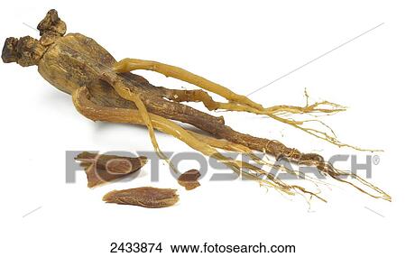 Picture - Root vegetable on a white background. Fotosearch