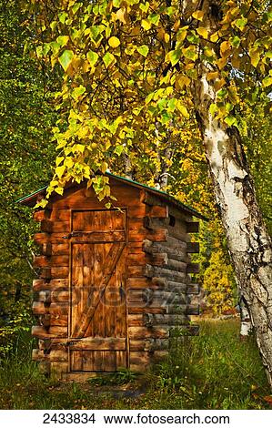 Rustic outhouse under the autumn coloured birch tree in warm sunlight; Fairbanks, Alaska, United States of America View Large Photo Image Picture - Rustic outhouse under the autumn coloured birch tree in warm sunlight; Fairbanks, Alaska, United States of America. Fotosearch