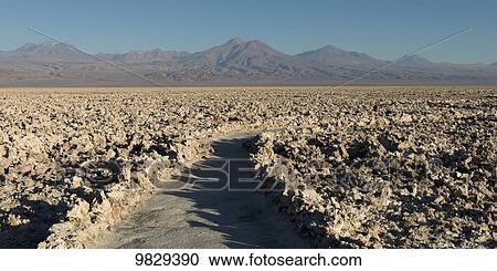 Salt Flat; San Pedro de Atacama, Antofagasta Region, Chile View Large Photo Image Stock Image - Salt Flat; San Pedro de Atacama, Antofagasta Region, Chile. Fotosearch