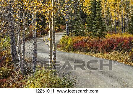 Scenic shot of gravel road in the Wonder Lake campground with boreal forest, fall colors, Denali National Park, Interior Alaska. Fall. View Large Photo Image Stock Image - Scenic shot of gravel road in the Wonder Lake campground with boreal forest, fall colors, Denali National Park, Interior Alaska. Fall.. Fotosearch