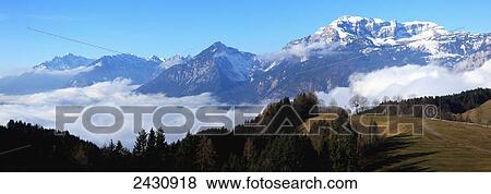 Scenic view of the Alps and a blue sky with grassy field and forest in the foreground; Brixlegg, Tyrol, Austria View Large Photo Image Stock Photo - Scenic view of the Alps and a blue sky with grassy field and forest in the foreground; Brixlegg, Tyrol, Austria. Fotosearch