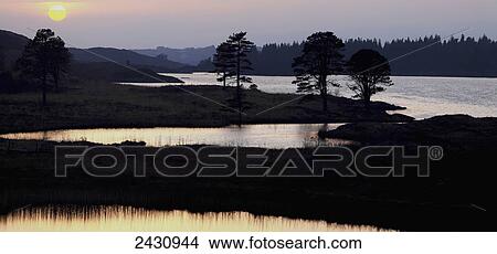 Silhouette of trees along the shoreline of a lake at sunset, near Kenmare; County Kerry, Ireland View Large Photo Image Picture - Silhouette of trees along the shoreline of a lake at sunset, near Kenmare; County Kerry, Ireland. Fotosearch
