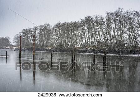 Snow falls along the Netul River; Astoria, Oregon, United States of America View Large Photo Image Stock Photograph - Snow falls along the Netul River; Astoria, Oregon, United States of America. Fotosearch