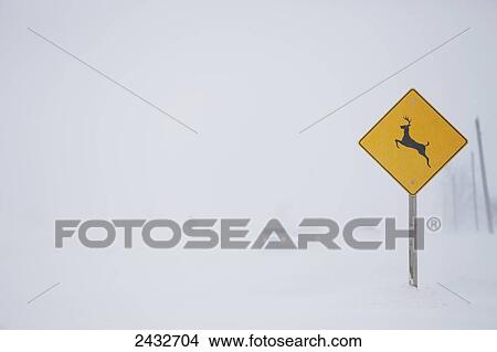 Snow squall along Mississauga Road with deer crossing sign; Caledon, Ontario, Canada View Large Photo Image Picture - Snow squall along Mississauga Road with deer crossing sign; Caledon, Ontario, Canada. Fotosearch