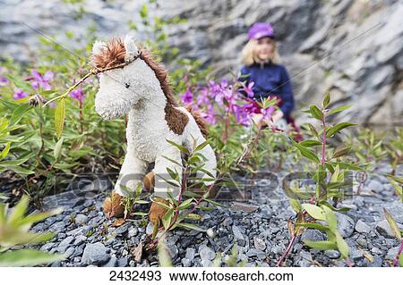 Stuffed horse sitting in Dwarf fireweed (Chamerion latifolium) flowers wih young caucasian girl in the background at Shoup Bay State Marine Park, Prince William Sound; Valdez, Alaska, United States of America View Large Photo Image Stock Image - Stuffed horse sitting in Dwarf fireweed (Chamerion latifolium) flowers wih young caucasian girl in the background at Shoup Bay State Marine Park, Prince William Sound; Valdez, Alaska, United States of America. Fotosearch