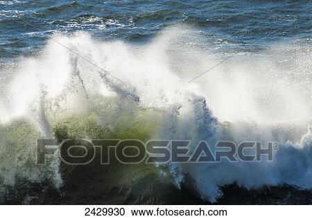 Surf breaks at Yaquina Head; Oregon, United States of America View Large Photo Image Stock Image - Surf breaks at Yaquina Head; Oregon, United States of America. Fotosearch
