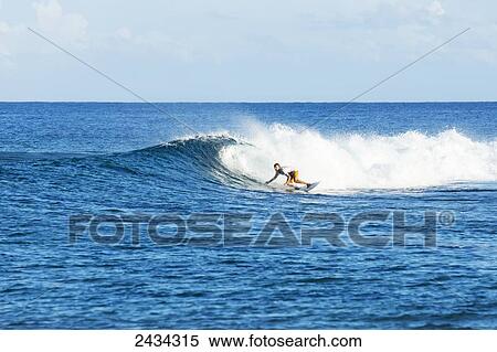 Stock Photography - Surfer riding perfect waves in the South Pacific; Tahiti, French Polynesia. Fotosearch