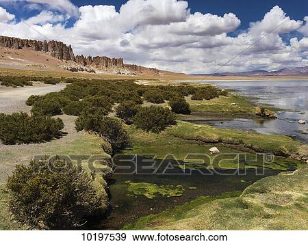 Tara Salt Flat, Salar de Atacama; San Pedro de Atacama, Antofagasta Region, Chile View Large Photo Image Stock Photo - Tara Salt Flat, Salar de Atacama; San Pedro de Atacama, Antofagasta Region, Chile. Fotosearch