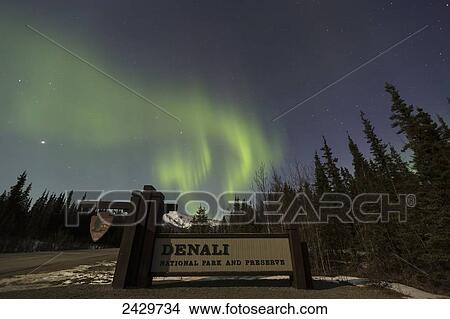 Picture - The Aurora Borealis (Northern Lights) dancing above the sign marking the entrance to Denali National Park and Preserve; Alaska, United States of America. Fotosearch