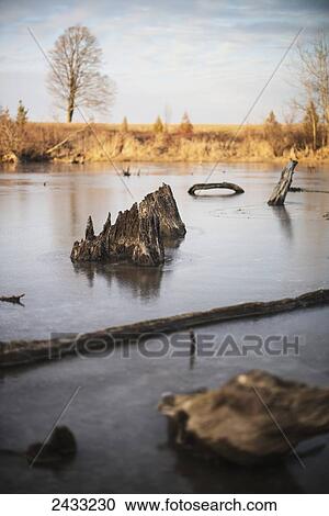 The sun sets over a pond in rural Ontario; Ontario, Canada View Large Photo Image Stock Image - The sun sets over a pond in rural Ontario; Ontario, Canada. Fotosearch