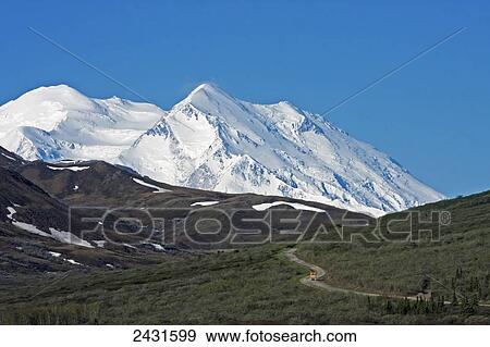The top of Mt. McKinley from near Toklat river in Denali National Park; Alaska, United States of America View Large Photo Image Stock Photo - The top of Mt. McKinley from near Toklat river in Denali National Park; Alaska, United States of America. Fotosearch