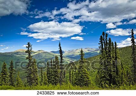 Stock Photography - The view of mountains with spring green boreal forest, Chena River State Recreation Area; Fairbanks, Alaska, United States of America. Fotosearch