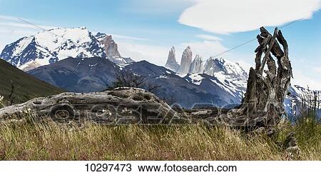 Stock Image - Torres del Paine National Park; Torres del Paine, Magallanes and Antartica Chilena Region, Chile. Fotosearch