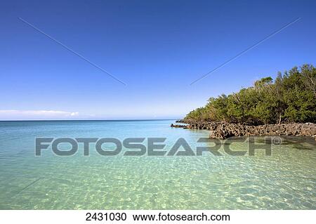 Tranquil clear water along the coast; Vamizi Island, Mozambique View Large Photo Image Stock Image - Tranquil clear water along the coast; Vamizi Island, Mozambique. Fotosearch