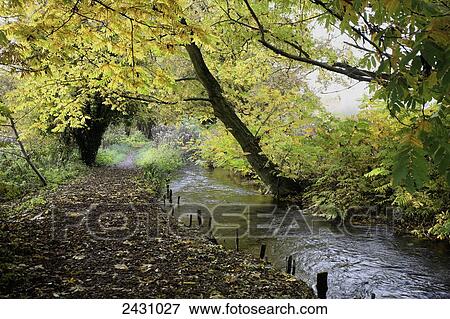 Trees and path along a river; Winchester, Hampshire, England View Large Photo Image Stock Photo - Trees and path along a river; Winchester, Hampshire, England. Fotosearch