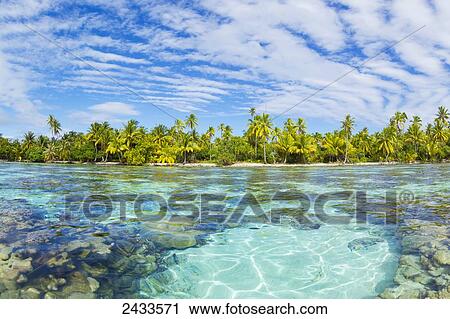 Stock Image - Tropical reef in the coral gardens; Tahaa, French Polynesia. Fotosearch