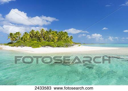 Tropical sunny island with palm trees and blue ocean; Tikehau, French Polynesia View Large Photo Image Stock Image - Tropical sunny island with palm trees and blue ocean; Tikehau, French Polynesia. Fotosearch
