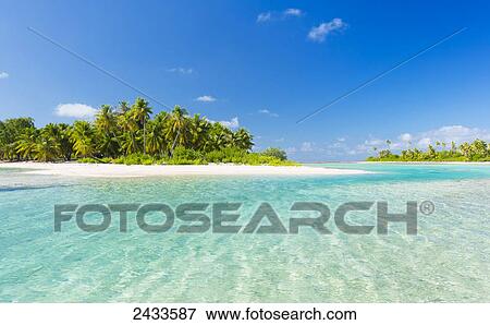 Tropical sunny island with palm trees and blue ocean; Tikehau, French Polynesia View Large Photo Image Stock Photo - Tropical sunny island with palm trees and blue ocean; Tikehau, French Polynesia. Fotosearch