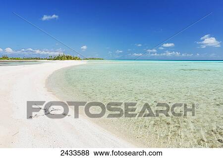 Stock Photo - Tropical sunny island with palm trees and blue ocean; Tikehau, French Polynesia. Fotosearch