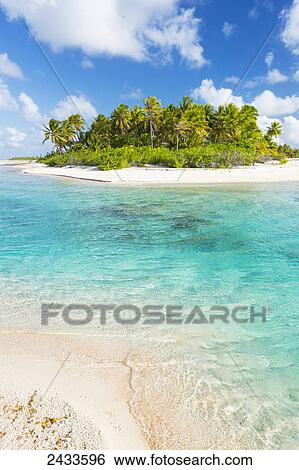 Tropical sunny island with palm trees and blue ocean; Tikehau, French Polynesia View Large Photo Image Stock Photograph - Tropical sunny island with palm trees and blue ocean; Tikehau, French Polynesia. Fotosearch