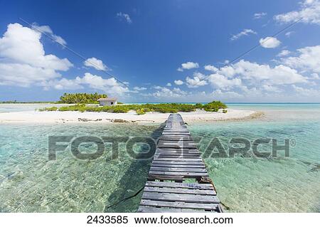 Tropical sunny island with palm trees and blue ocean; Tikehau, French Polynesia View Large Photo Image Stock Photography - Tropical sunny island with palm trees and blue ocean; Tikehau, French Polynesia. Fotosearch