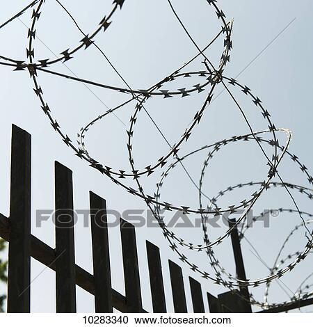 Stock Image - Twisted barbed wire over a fence against a blue sky; Santiago, Santiago Metropolitan Region, Chile. Fotosearch